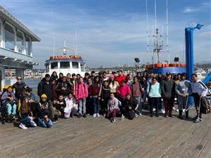 Whale Watching Pic Whale Watching Pic